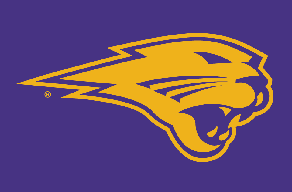 Northern Iowa Panthers 2002-Pres Partial Logo v3 diy DTF decal sticker